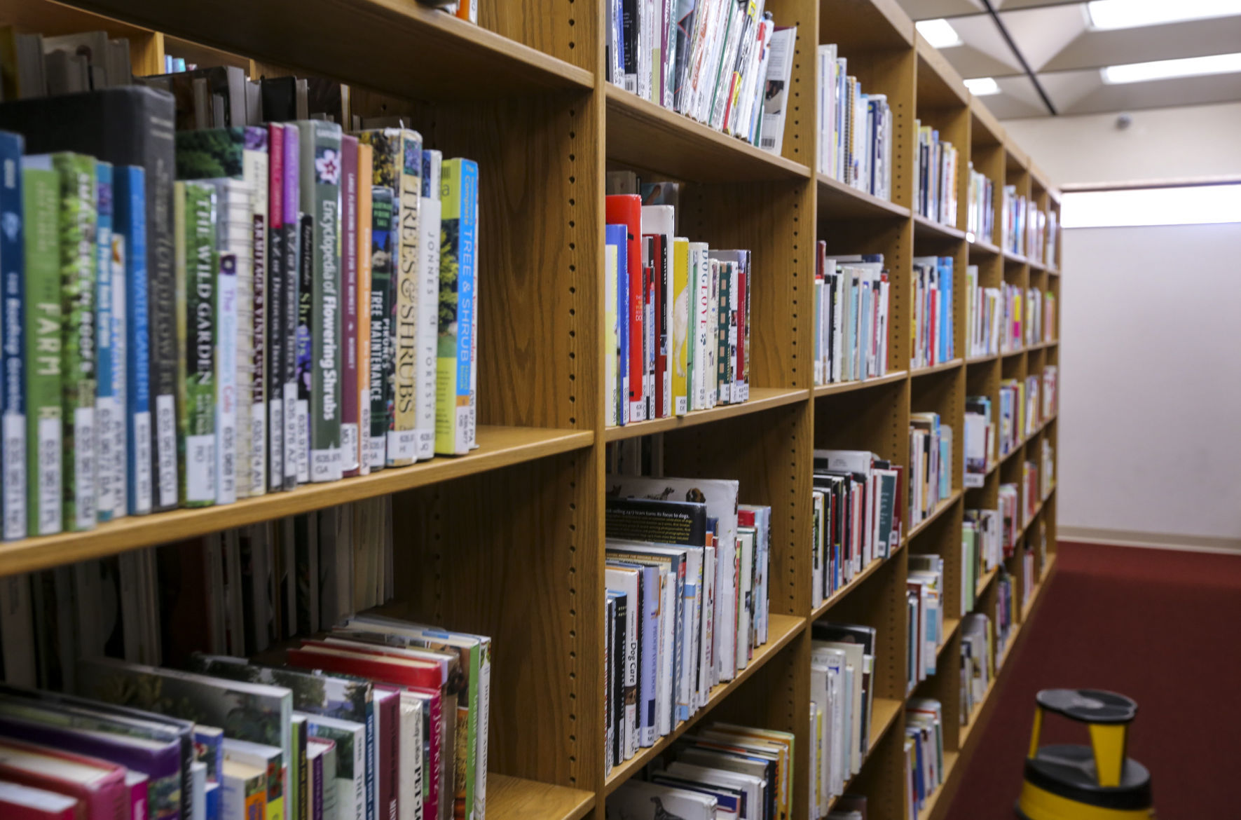 040818-BETTENDORF-LIBRARY-016